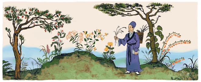 Herb Garden Google Doodle, 2013